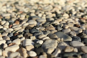 A close-up view of various smooth pebbles and small stones scattered in abundance. The stones vary in size and color, ranging from white and gray to brown and dark green, creating a textured and natural appearance.