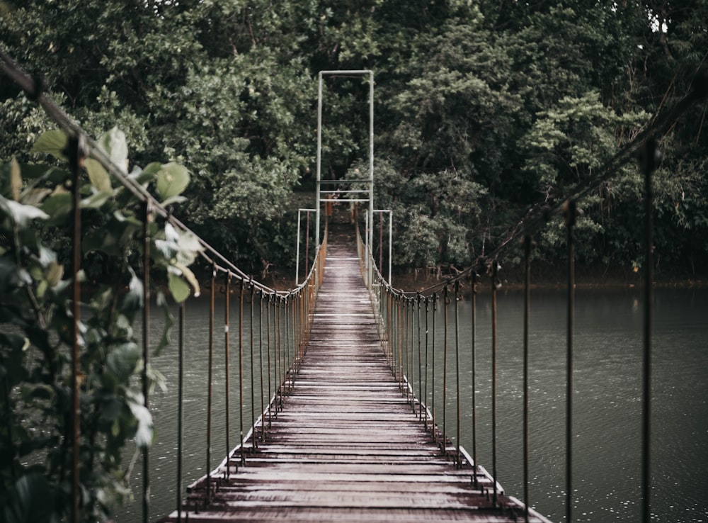 gray hanging bridge over body of water