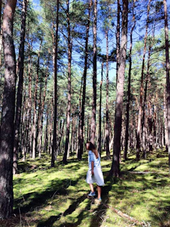 Action shot of a Minecraft character exploring a lush forest in the Ustike Minecraft world.