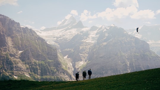 three person standing on grass field in Grindelwald Switzerland