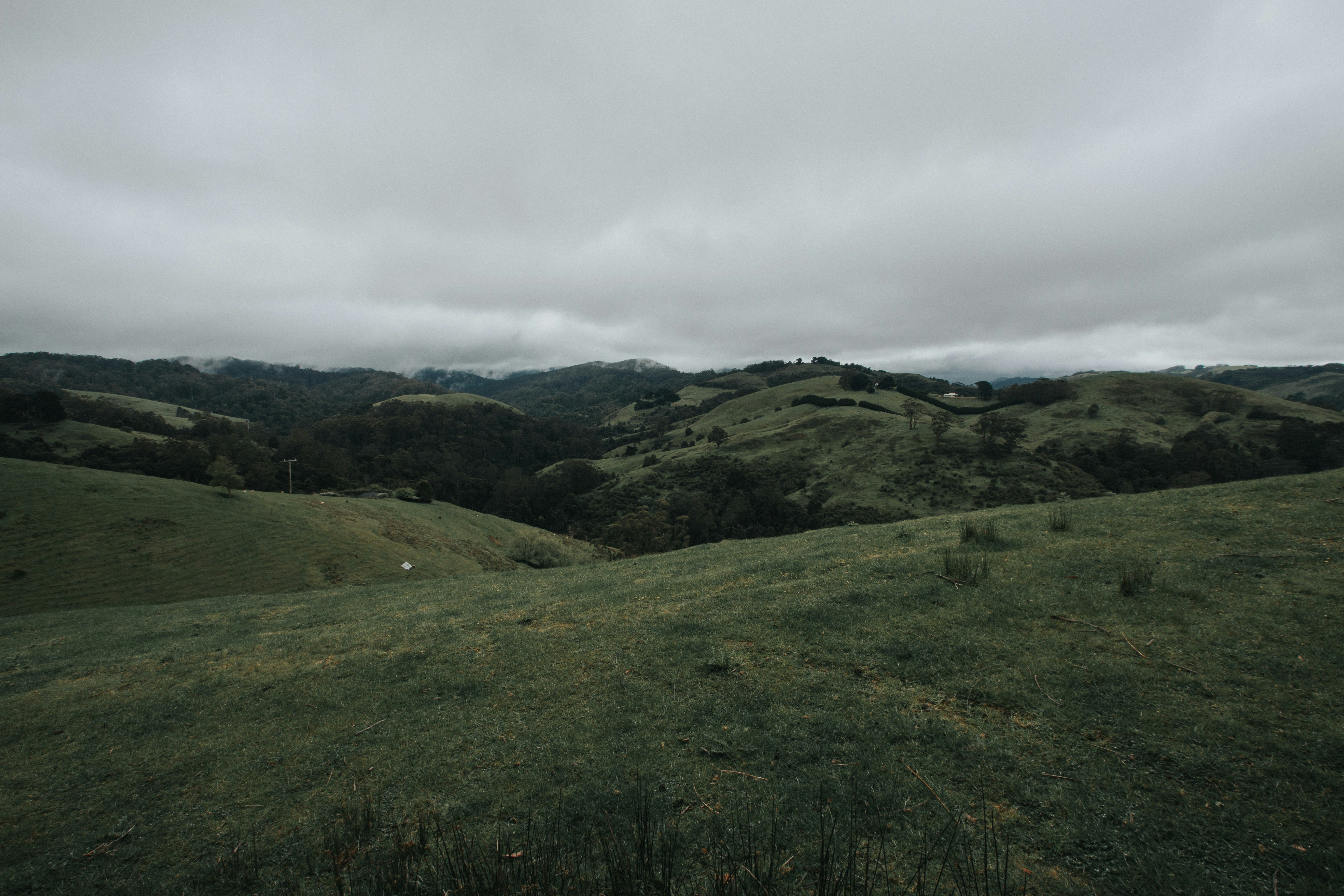 Photo by codypboard