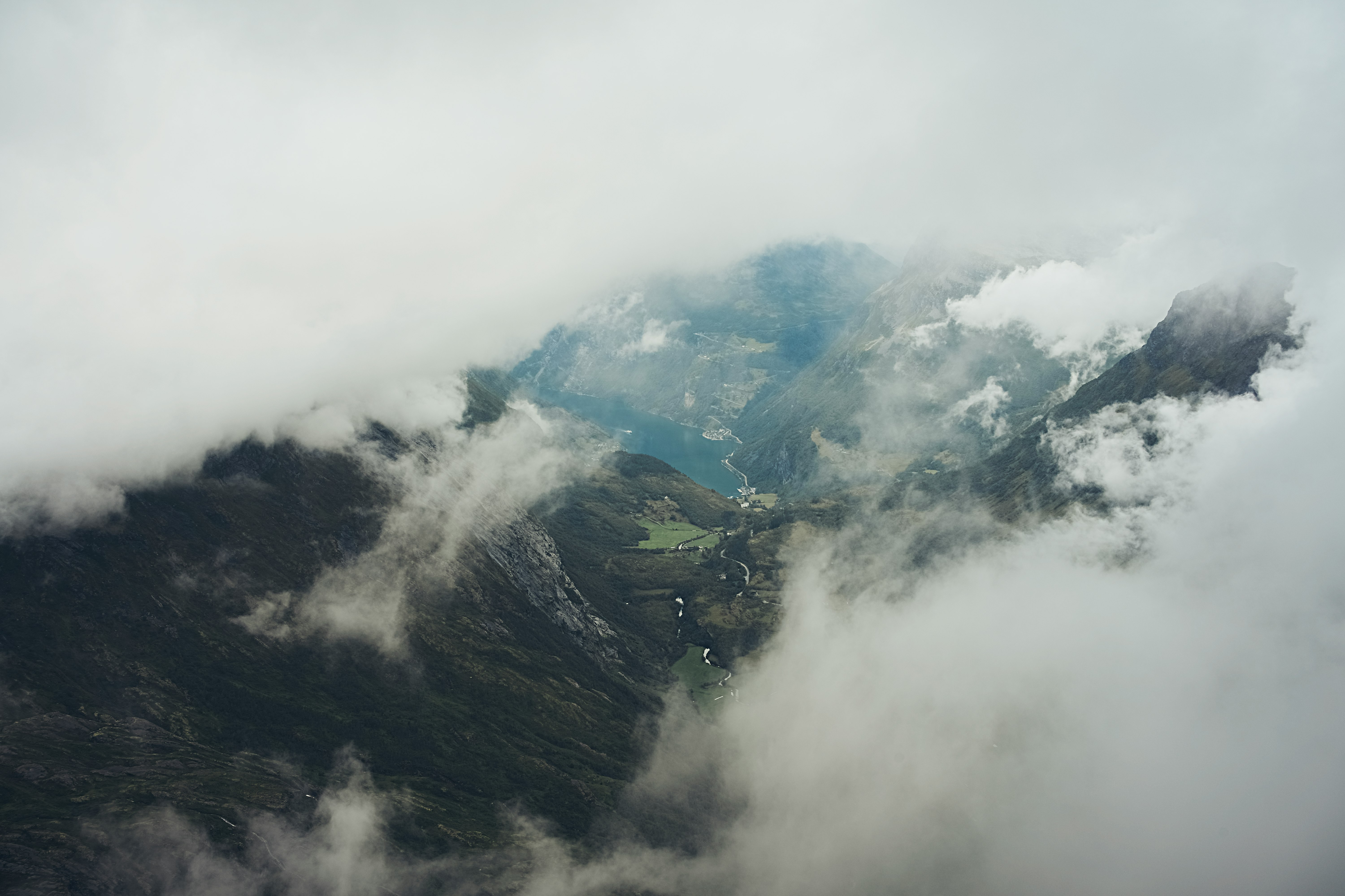 foggy mountain and trees