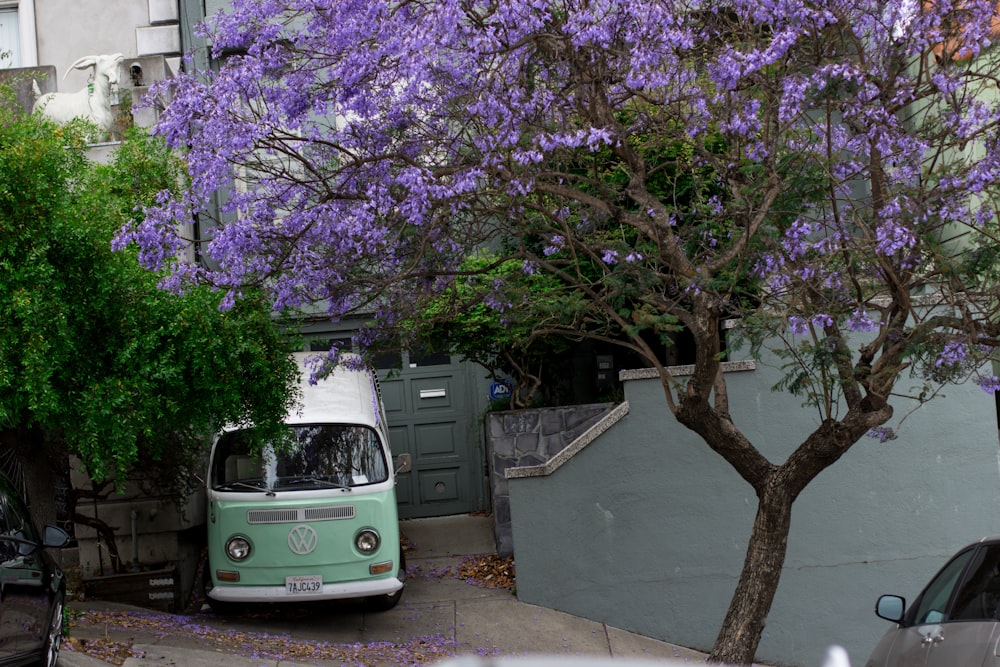 van parking near plants