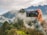 person holding smartphone taking picture of green mountain
