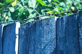 A close-up view of a rough, wooden fence adorned with barbed wire at the top. The wood appears to have a weathered texture and is tinted with shades of blue. Sunlight casts shadows across the surface. Behind the fence, lush green leaves are visible, adding a contrast to the stark appearance of the barbed wire.
