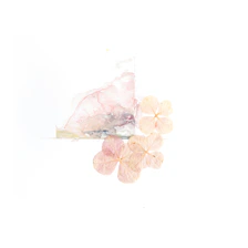 Delicate bouquet of pale pink and cream flowers with gentle greenery on a neutral background.