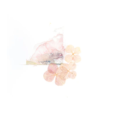 Delicate floral watercolor with pale beige and warm white highlights.