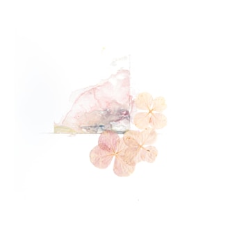 Delicate dried flowers with pale pink and cream tones are positioned on a plain white background. A subtle watercolor splash with hints of pink and gray adds an artistic touch.