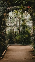 green trees on walkway
