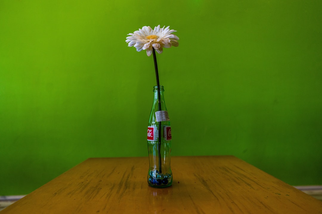 white daisy flower on Coca-Cola bottle