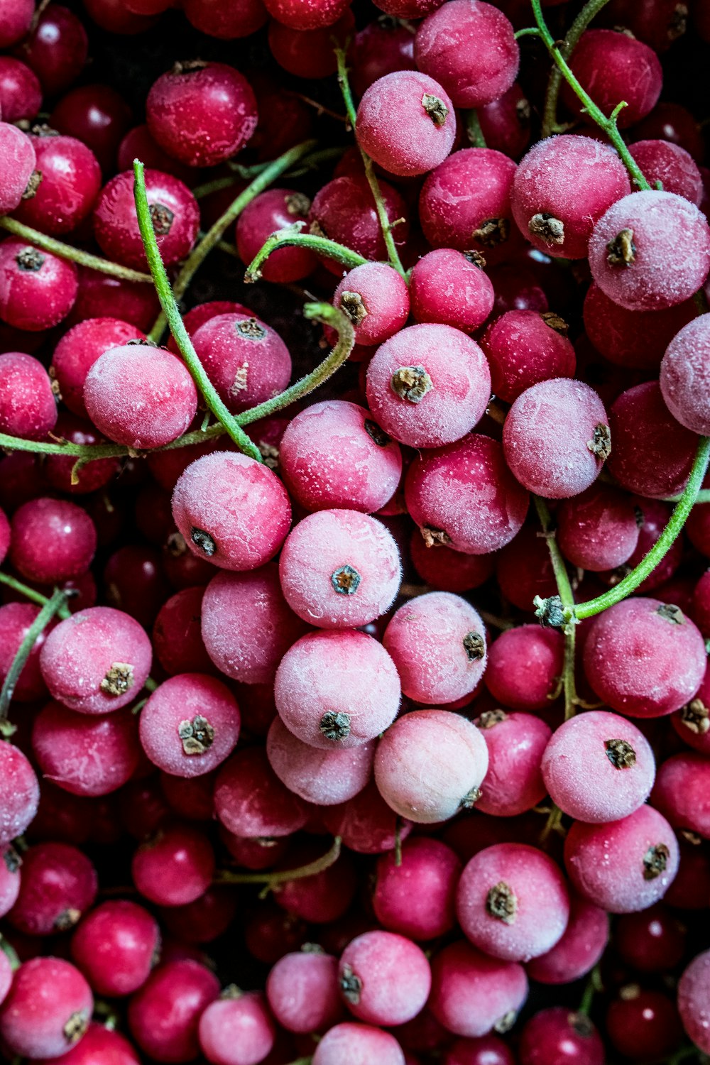 Foto de primer plano de frutos rojos de cereza