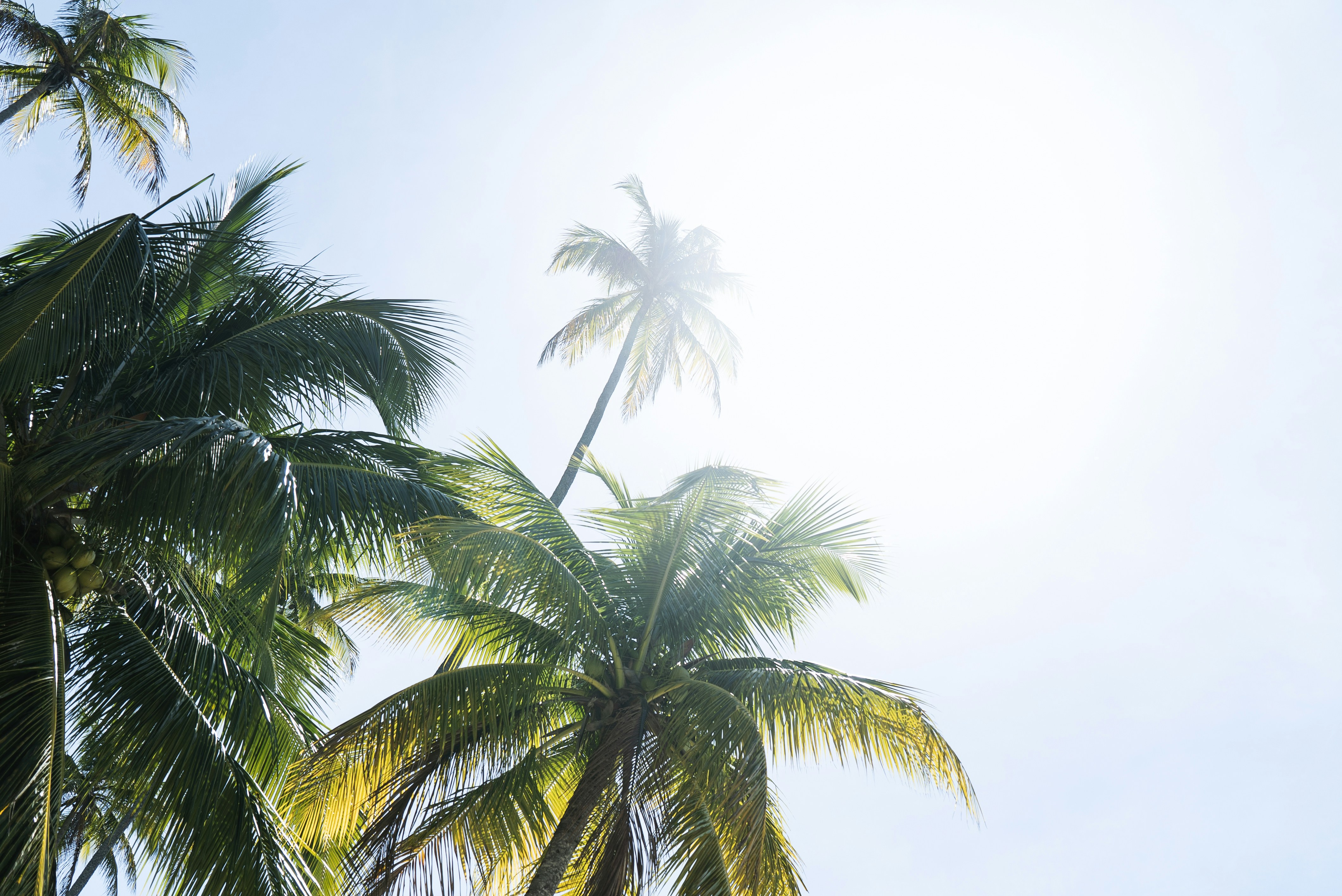 Photo by davidemrich