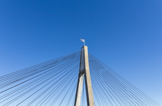 cable-stayed bridge under blue sky in Anzac Bridge Australia