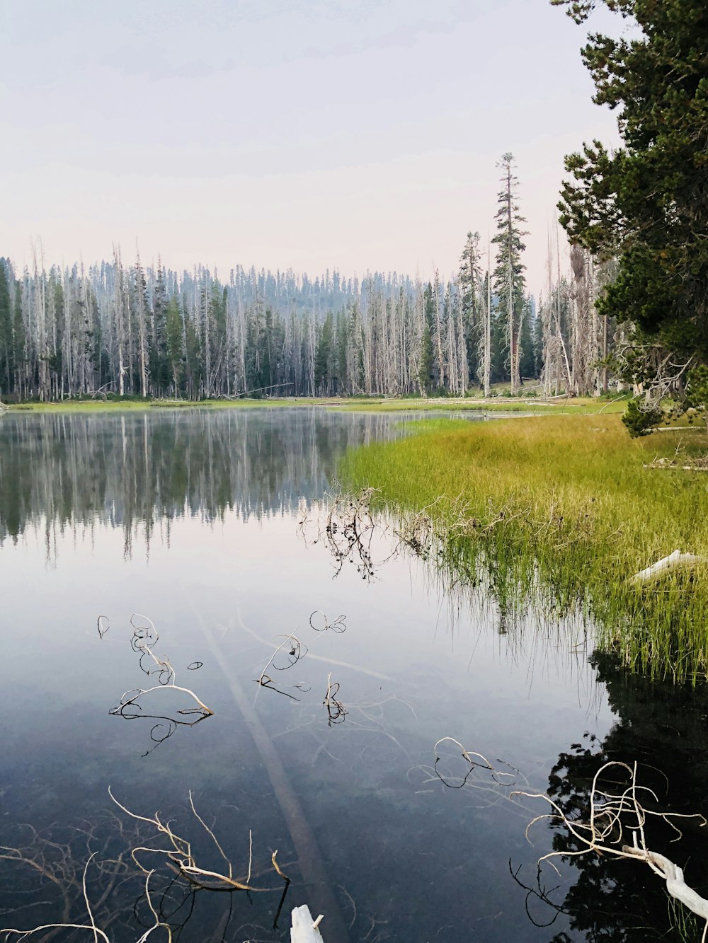 lake and trees under cloudy sky