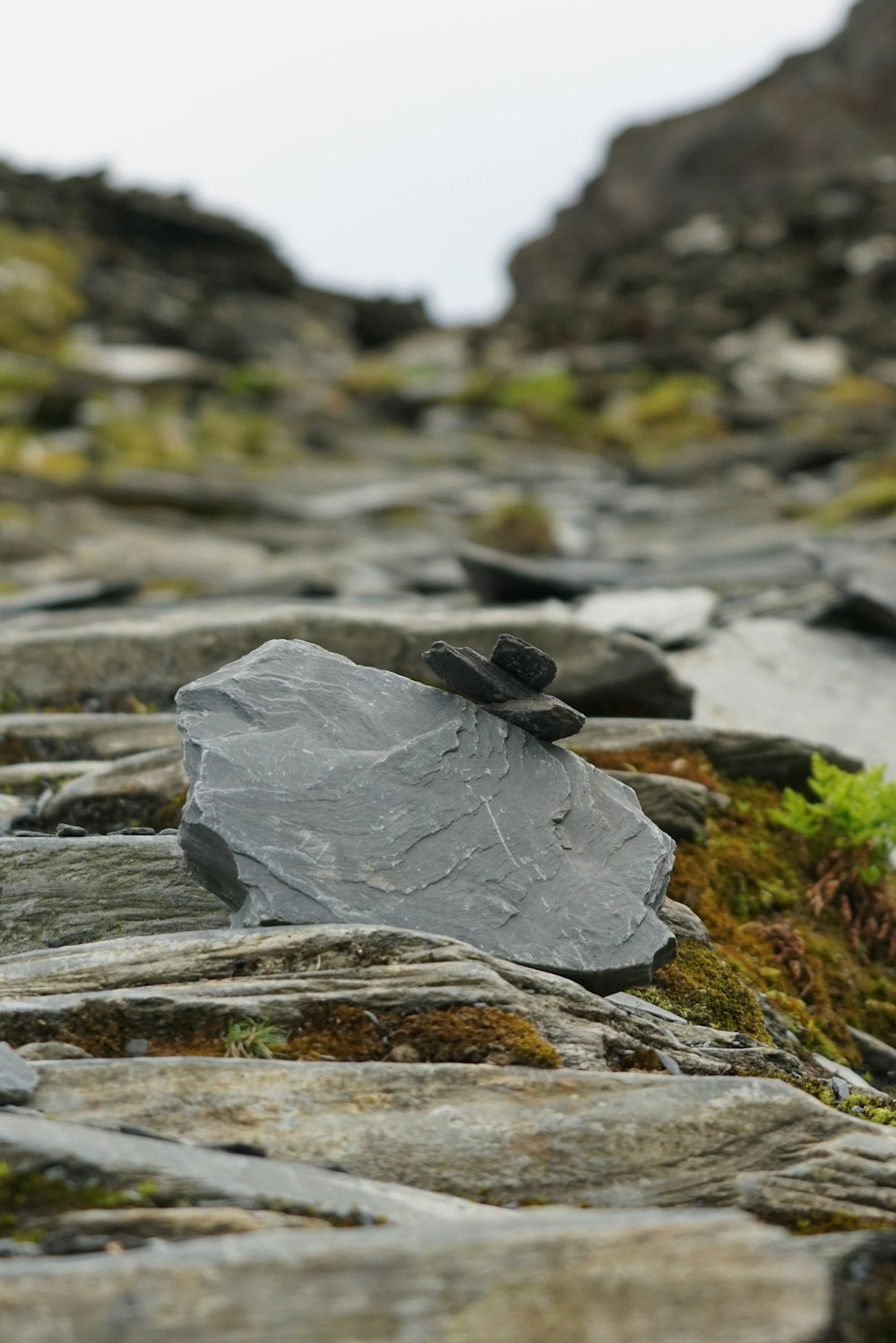 Formación de roca gris en roca gris durante el día