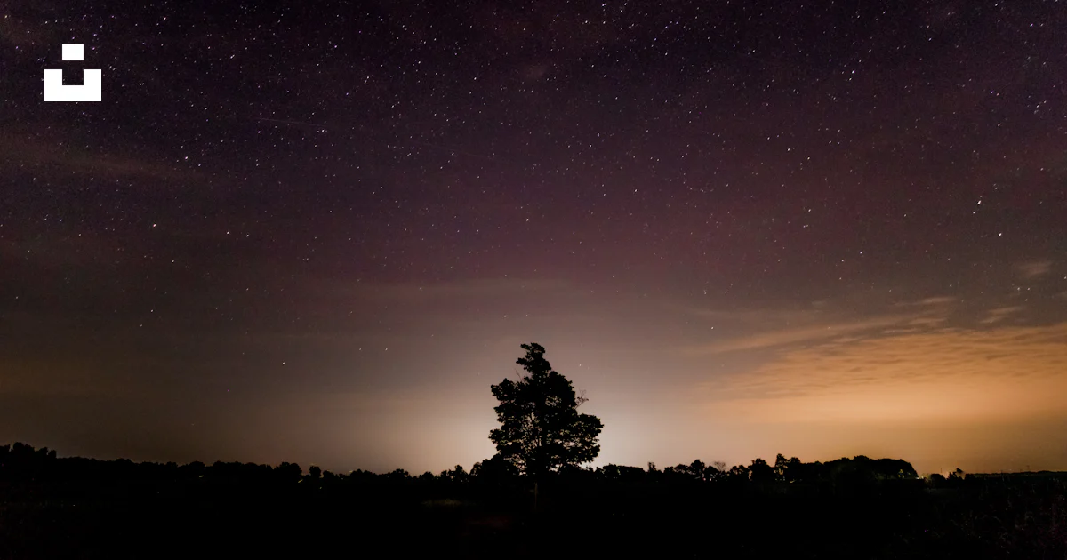 Silhouette Photography Of Tree Photo Free Dark Image On Unsplash Silhouette Photography Of Tree Photo Free Dark Image On Unsplash