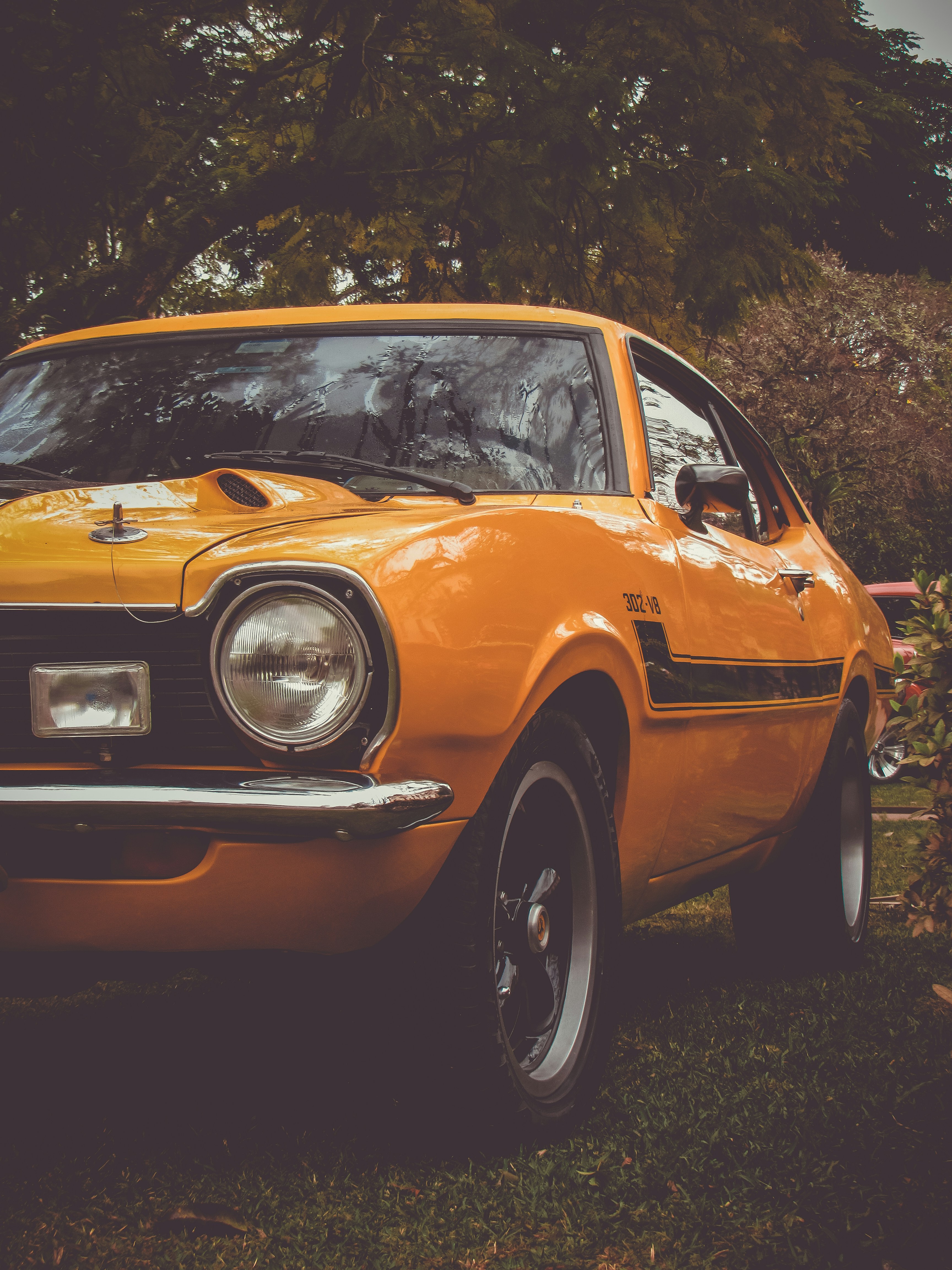 yellow and black coupe on grass lawn