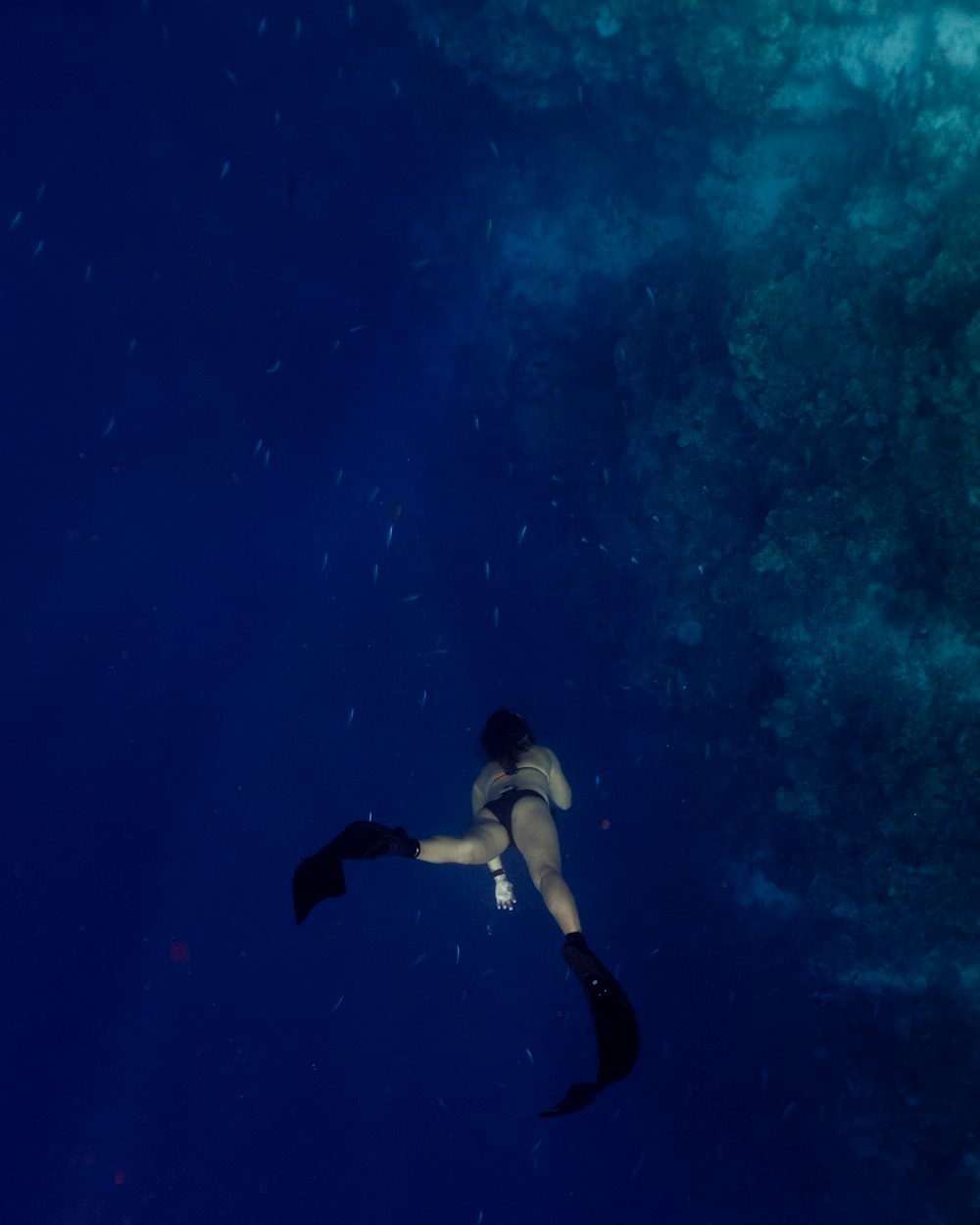 Fotografía subacuática de una persona