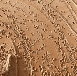 foot prints on sand