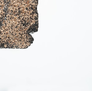 a close up of a piece of food on a white surface