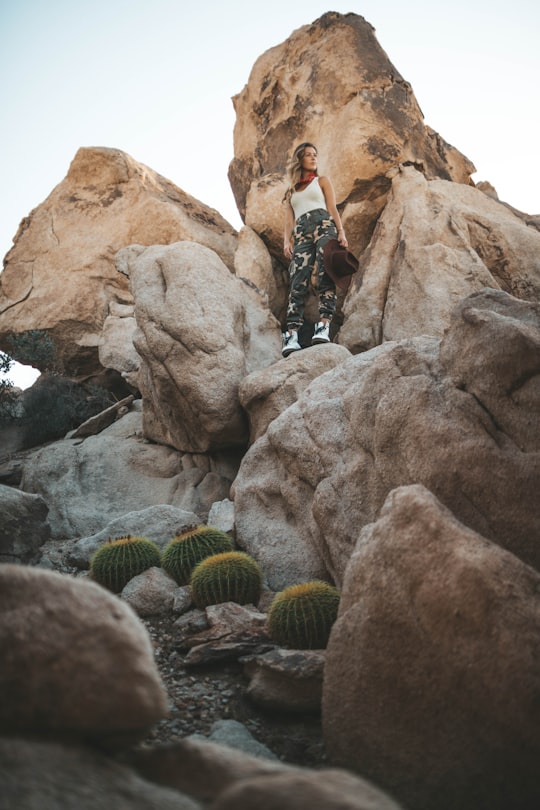 woman standing on rock formation near green cacti during daytime in Joshua Tree United States