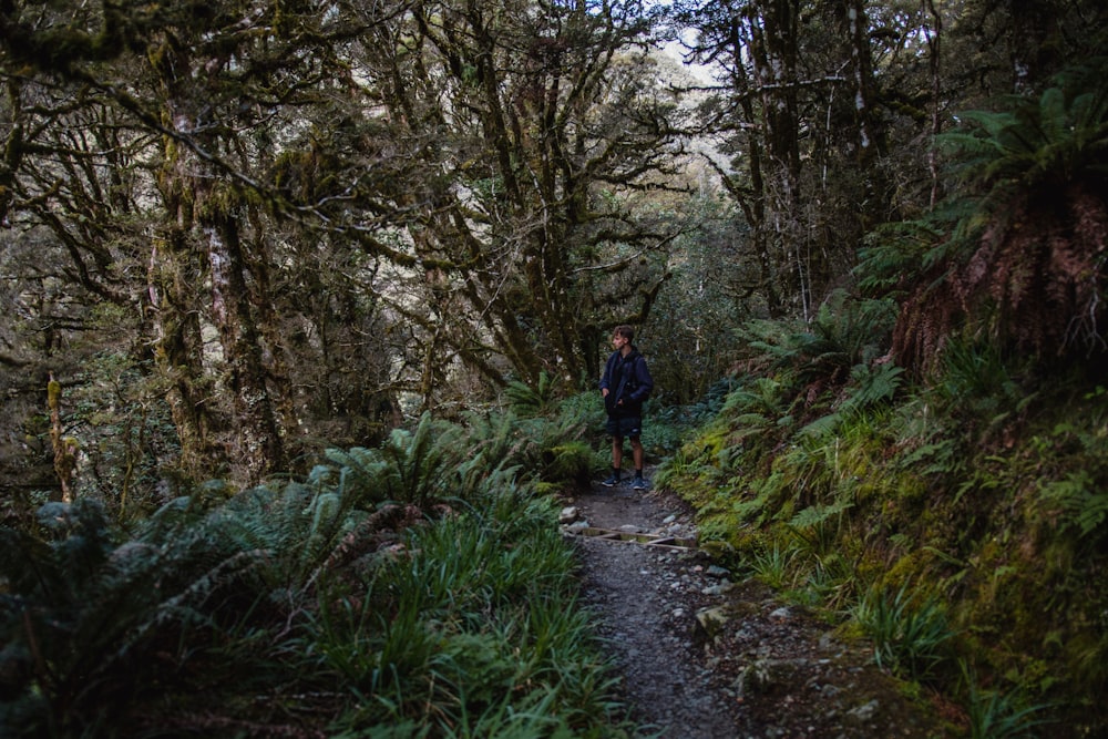 man standing on pathway under trees