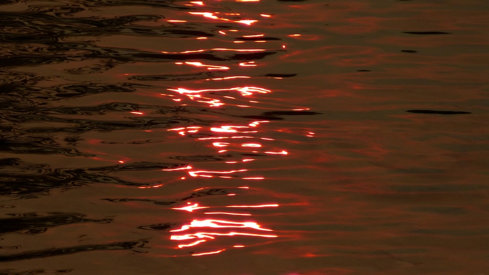 body of water during nighttime