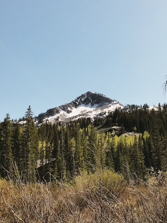 snow covered mountain in Big Cottonwood Canyon United States