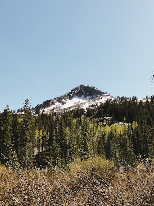 Big Cottonwood Canyon things to do in Alpine