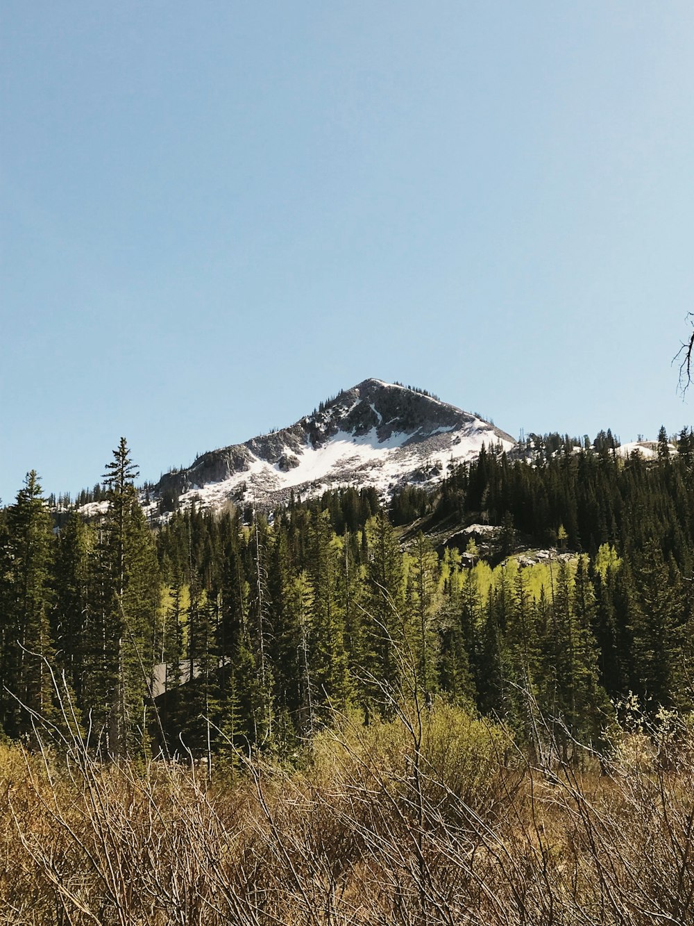 snow covered mountain