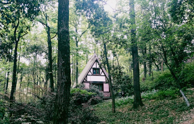 A quaint A-frame house nestled in a dense forest. Tall trees with lush green foliage surround the house, creating a serene and secluded atmosphere. The structure has a triangular roof and contrasting white and dark brown exterior panels, enhancing its rustic charm.