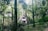 A quaint A-frame house nestled in a dense forest. Tall trees with lush green foliage surround the house, creating a serene and secluded atmosphere. The structure has a triangular roof and contrasting white and dark brown exterior panels, enhancing its rustic charm.