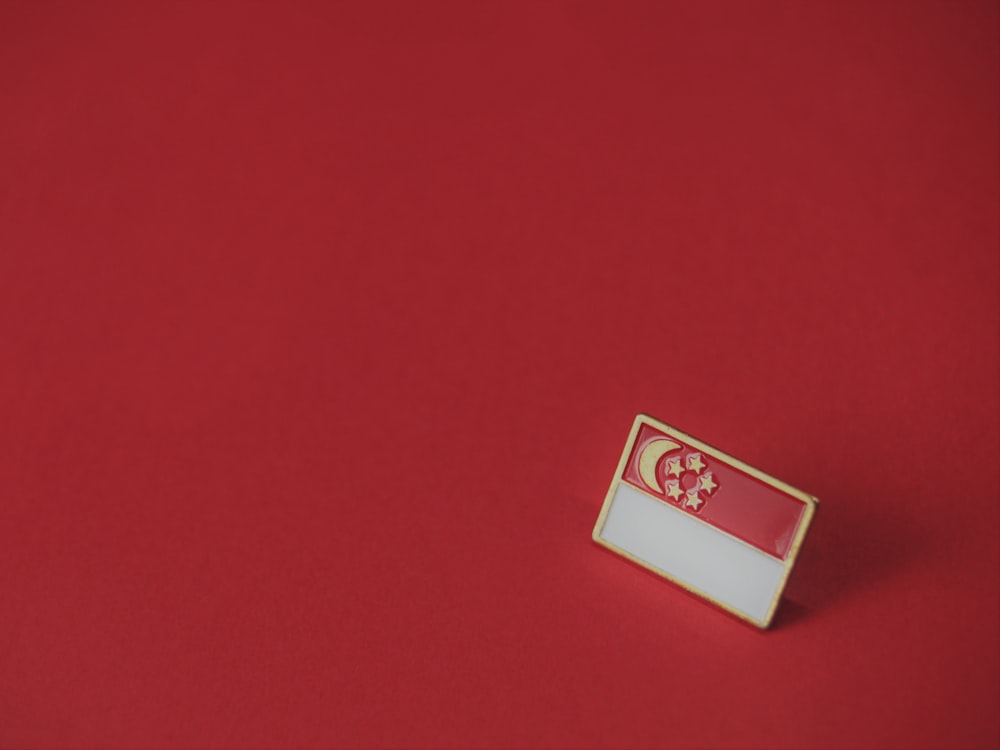 white and red flag pin