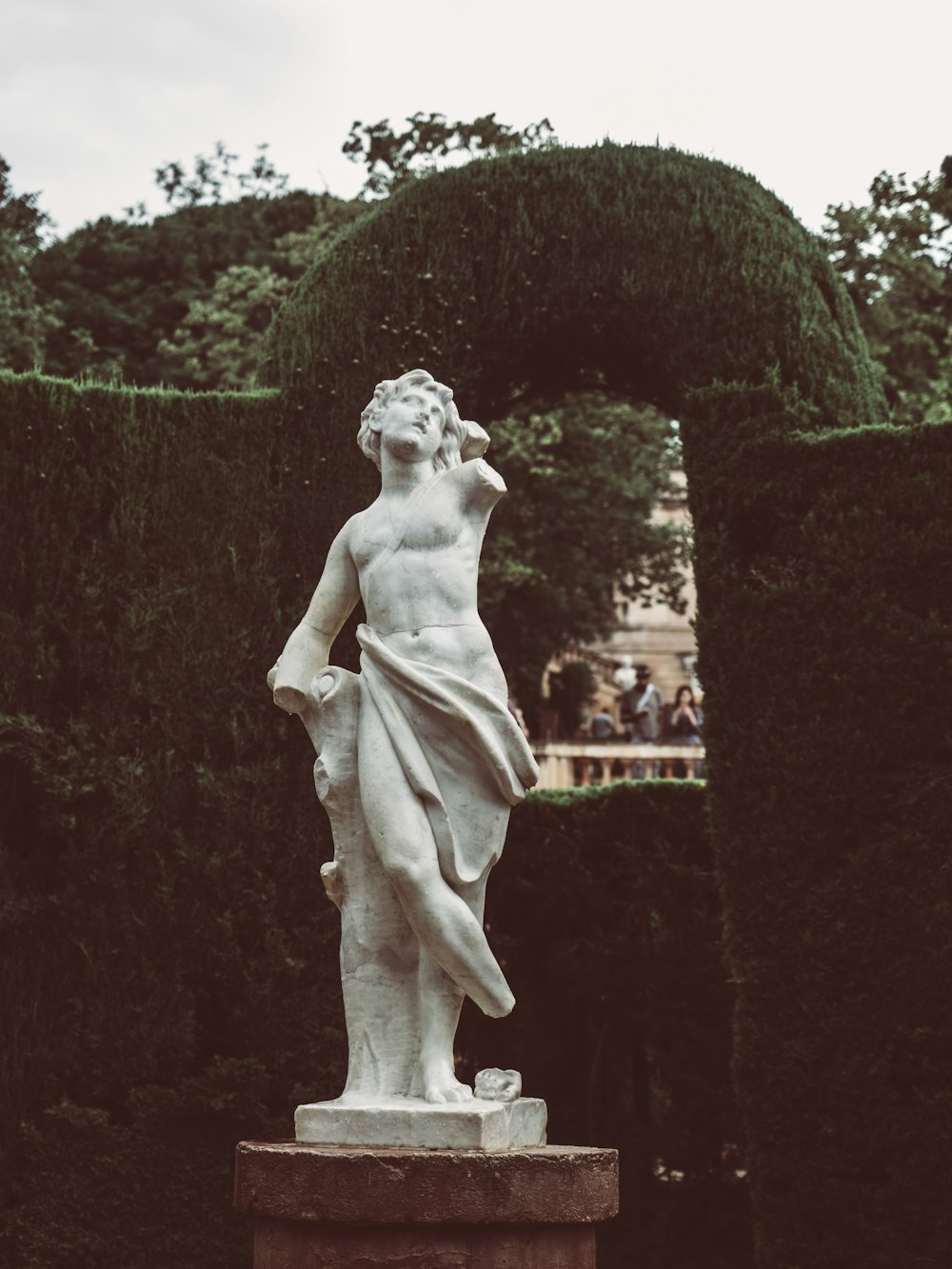 Estatua frente a las plantas