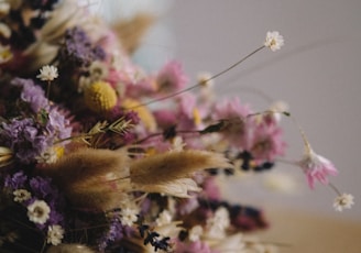 selective focus of pink petaled flowers