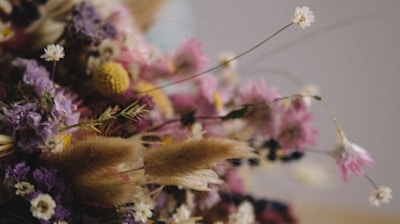 selective focus of pink petaled flowers