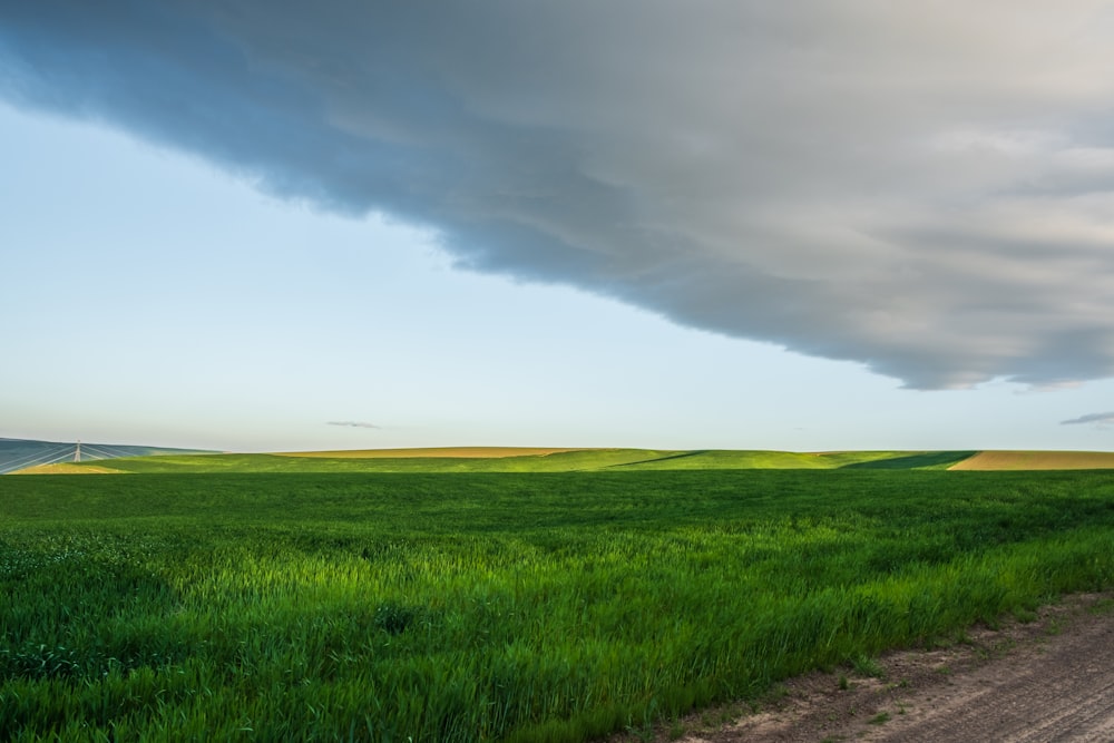 greenfield under white clouds