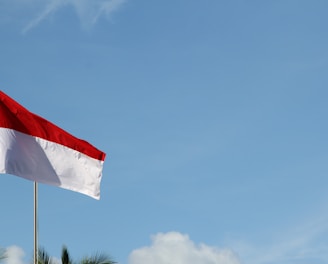 red and white flag under blue sky during daytime