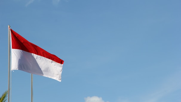 red and white flag under blue sky during daytime