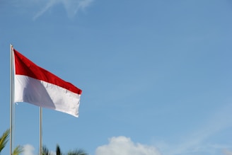 red and white flag under blue sky during daytime