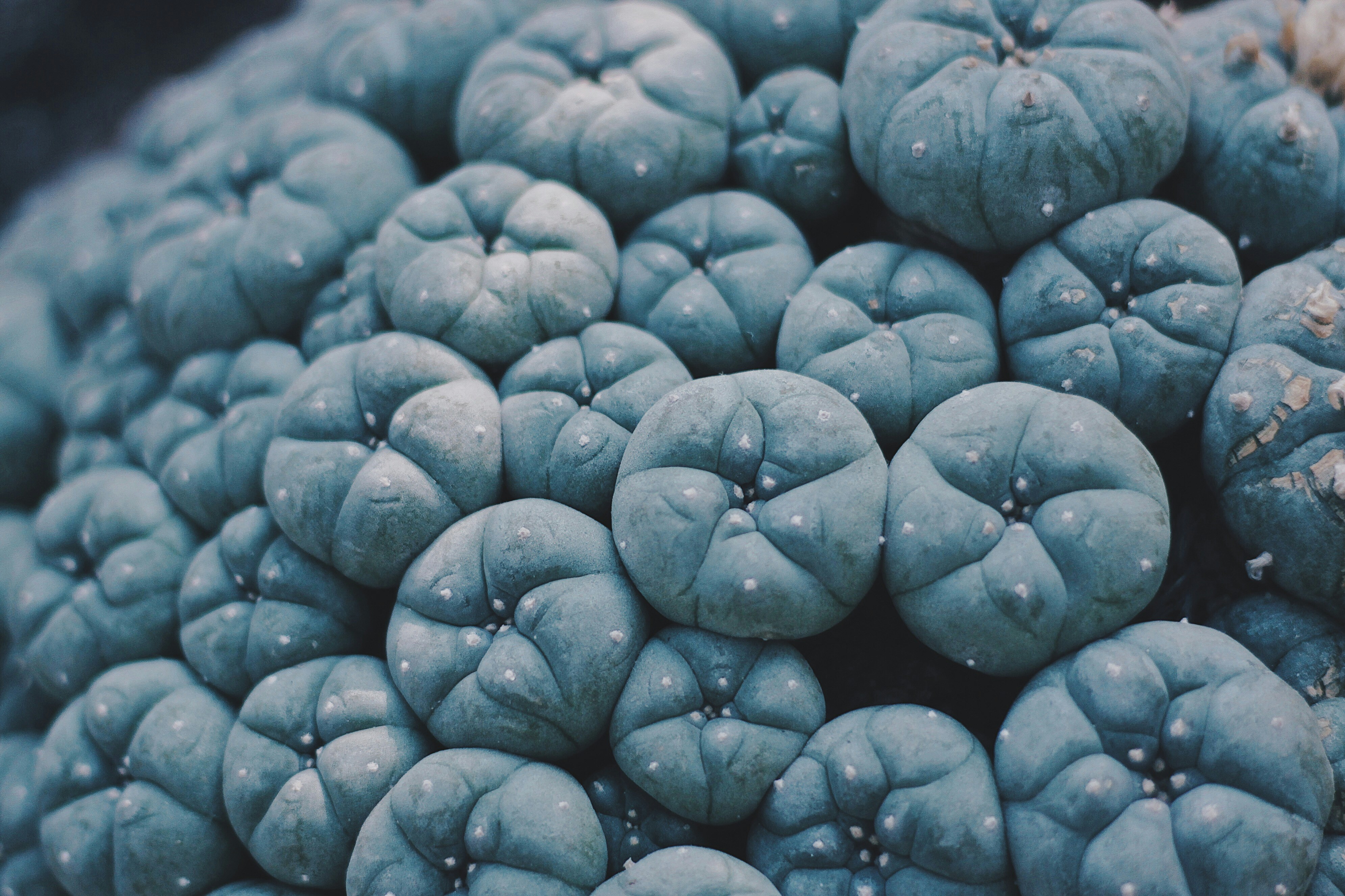 Why Losing $100 Hurts More Than Winning $100 Feels Good