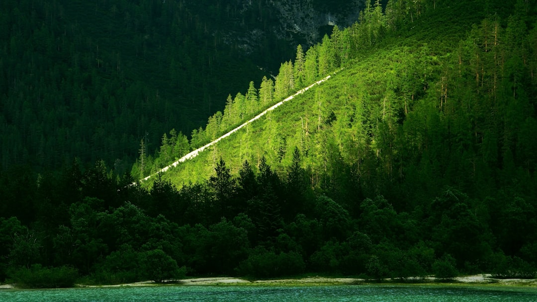 Nature reserve photo spot Lago di Landro Passeier Valley