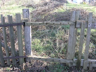 A wooden fence with missing planks stands in a field. The fence appears weathered and old, with metal brackets reinforcing some areas. Behind the fence, the ground is covered with dried grass and shrubs, indicating an untended, natural setting.