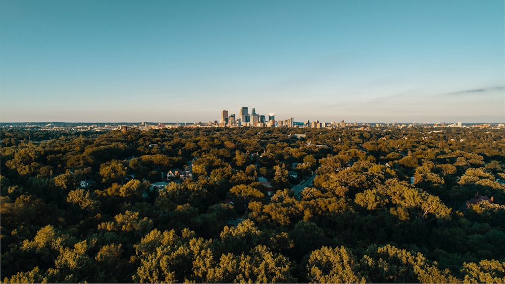 green trees