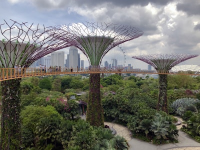 garden with green leafed plants under cloudy sky