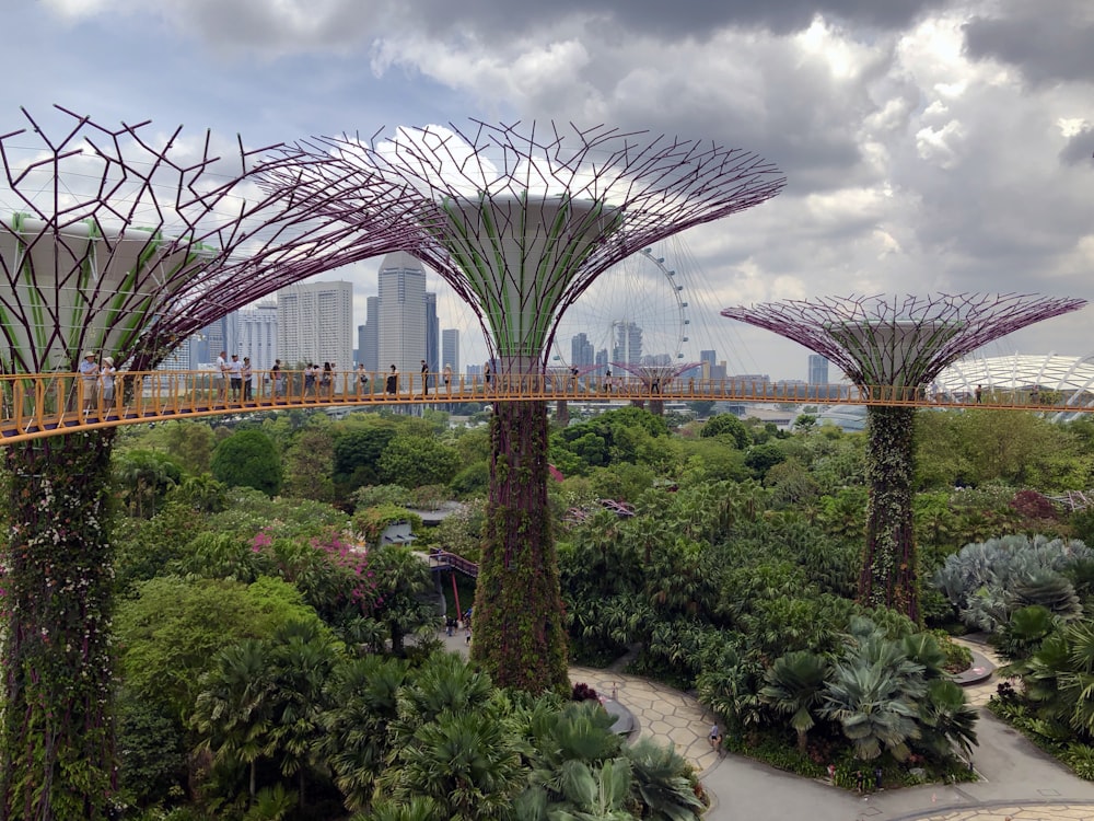 曇り空の下で緑の葉の植物が咲く庭