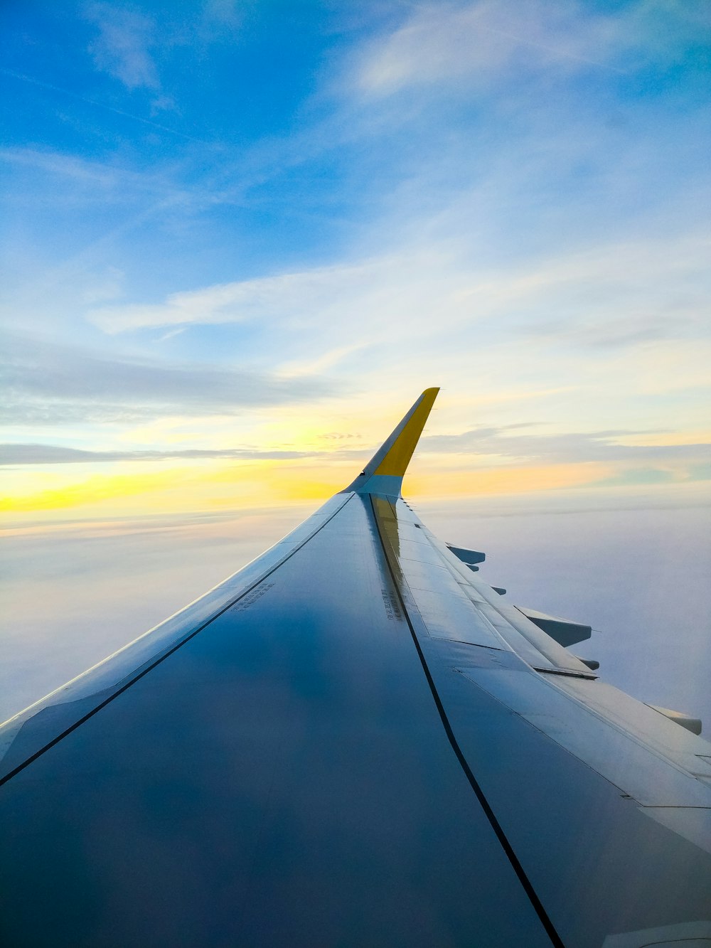 wing on plane in midway