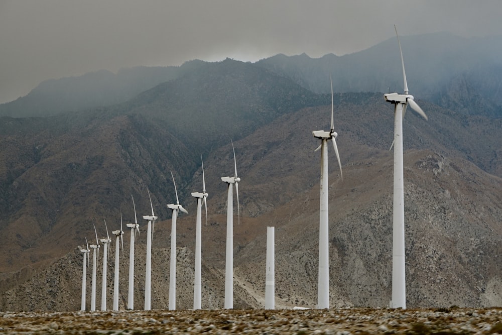 white windmills outdoors