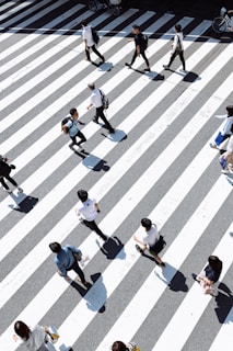 Traffic SEO référencement marketing
