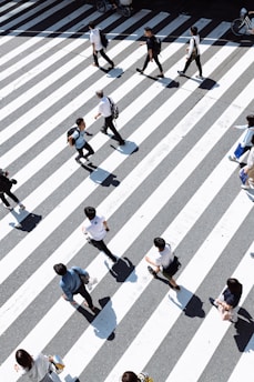 Traffic SEO référencement marketing